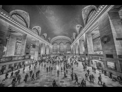 Gordon Mills-Grand Central Station mono-Very Highly Commended.jpg